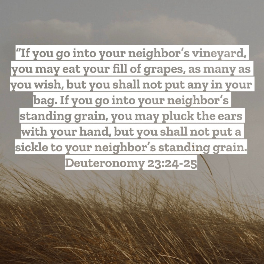 Deuteronomy 23 – Pastor Mac Daily&nbsp;DEVO